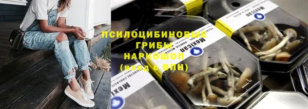 хмурый Алексеевка