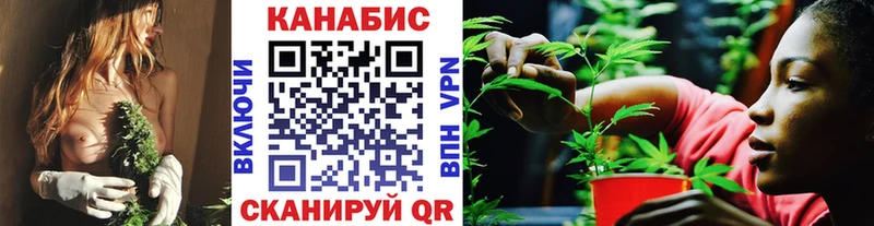 hydra вход  дарнет шоп  Андреаполь  Каннабис гибрид 